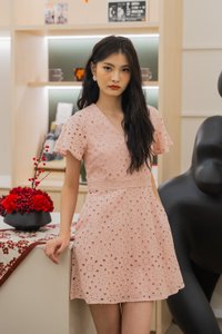 Eviane Crochet Eyelet Dress In Pink (XS)