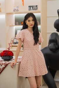 Eviane Crochet Eyelet Dress In Pink (XS)