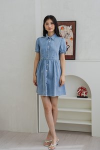 Braveheart Denim Button Shirt Dress (XS)