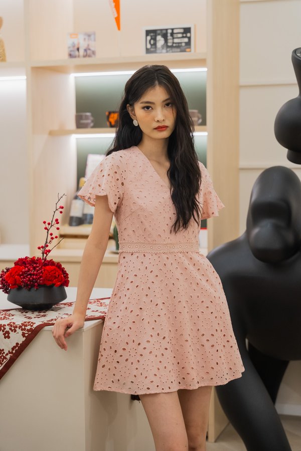 Eviane Crochet Eyelet Dress In Pink (XS)