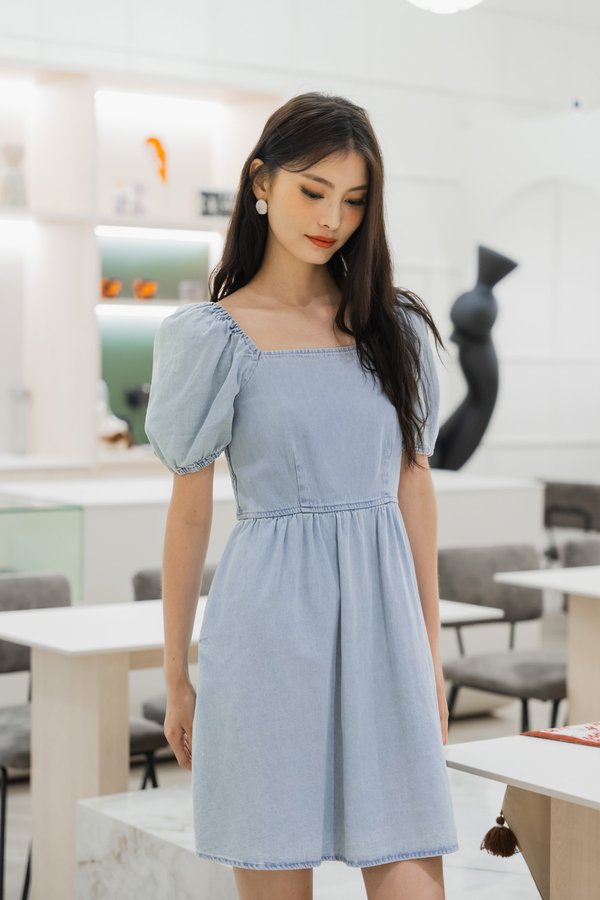 Delice Denim Smocked Back Dress (XS)