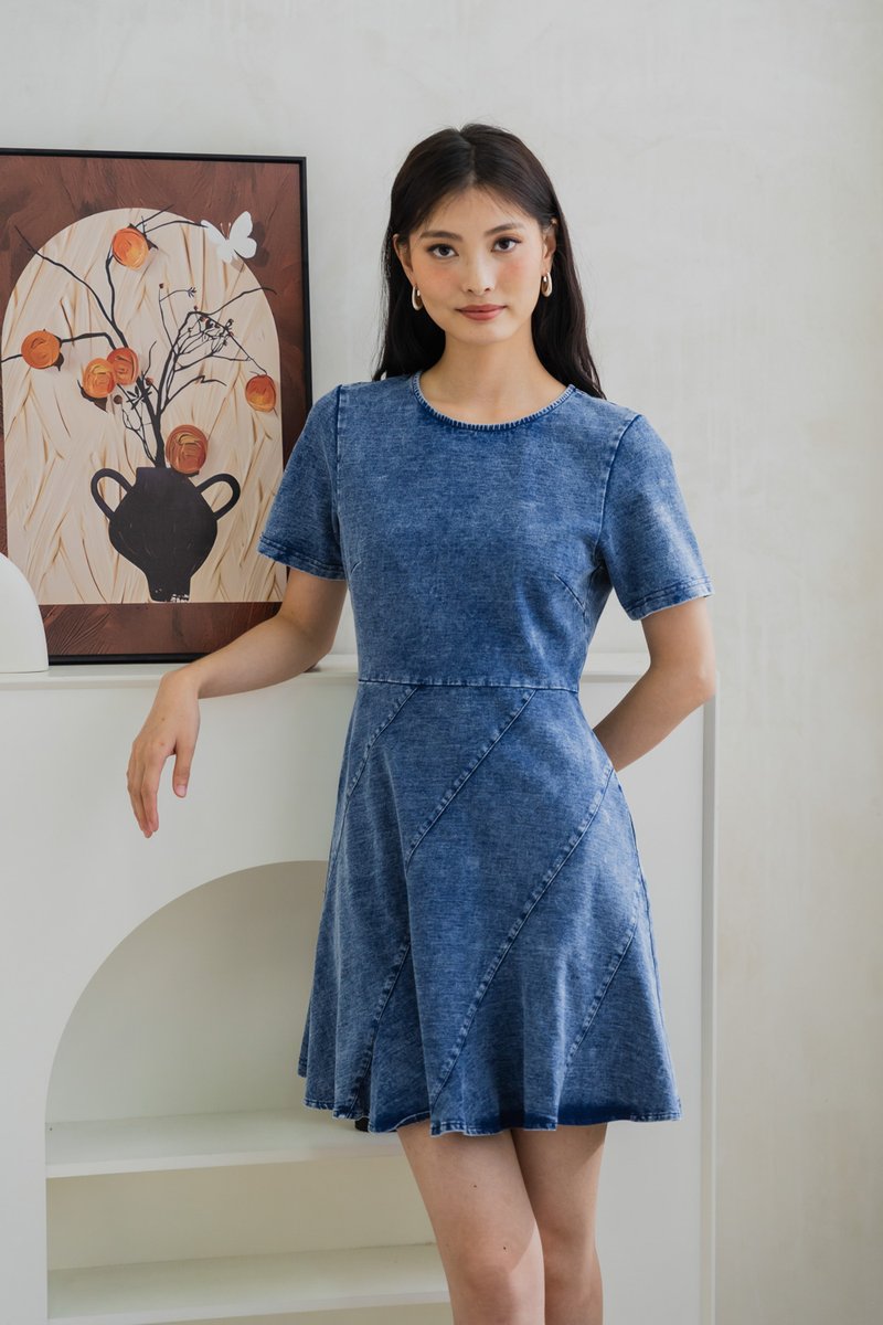 Diana Denim Slant Panel Dress