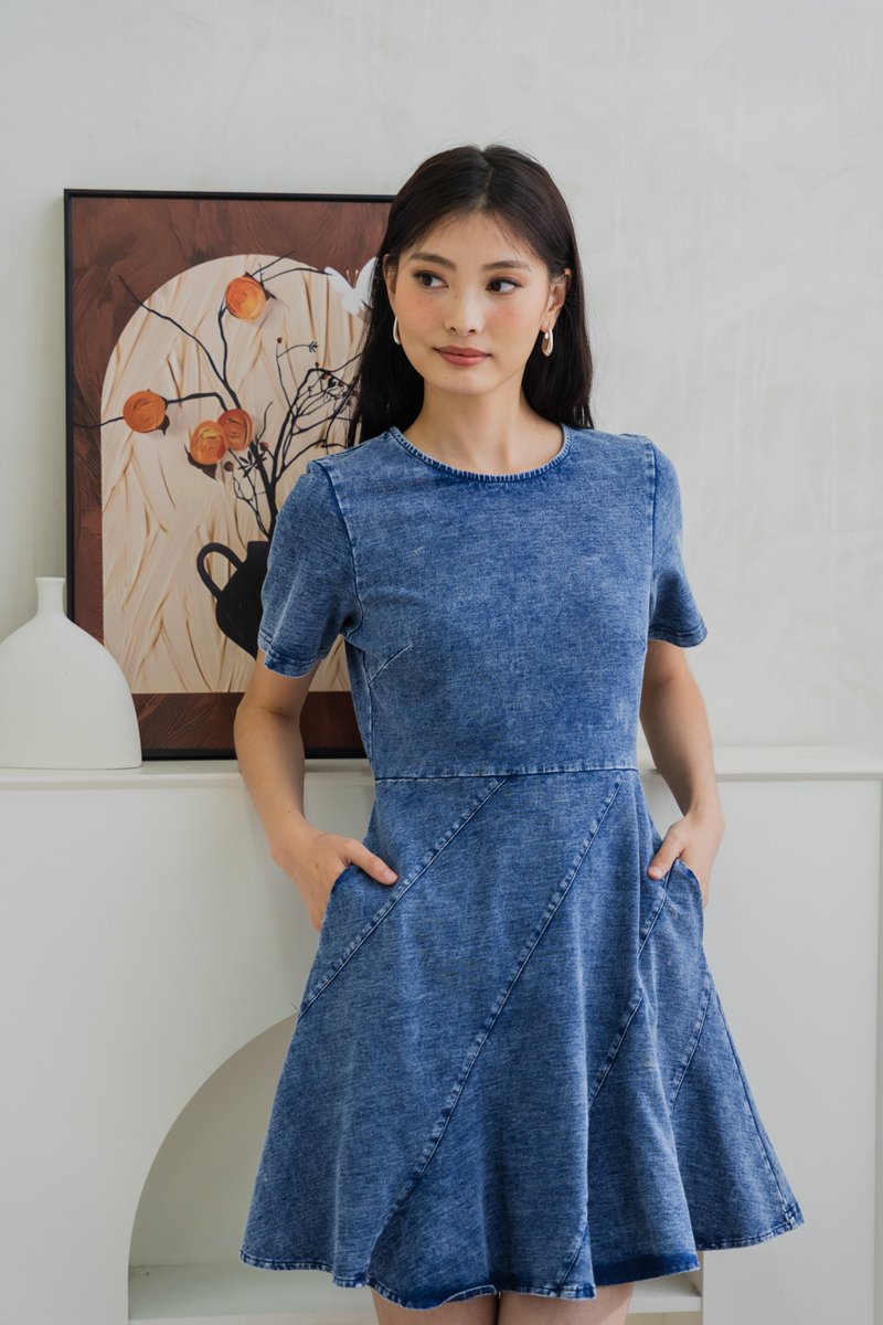 Diana Denim Slant Panel Dress