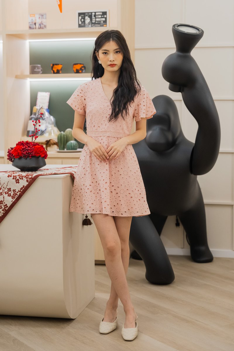 Eviane Crochet Eyelet Dress In Pink (XS)
