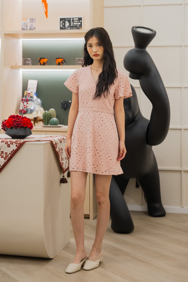 Eviane Crochet Eyelet Dress In Pink (XS)