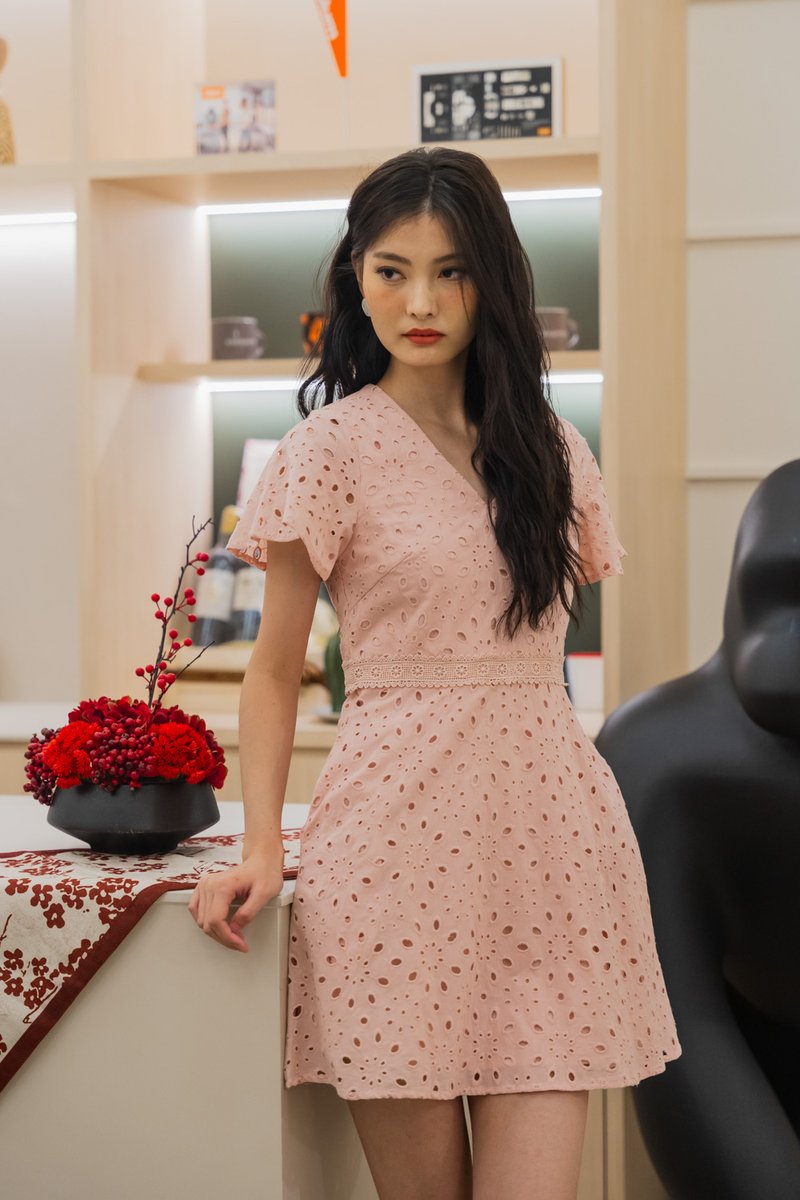 Eviane Crochet Eyelet Dress In Pink (XS)