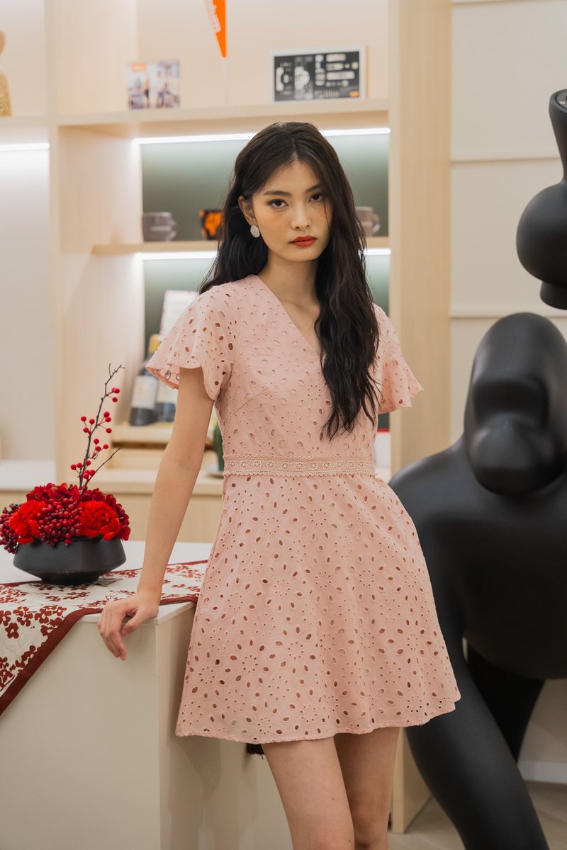 Eviane Crochet Eyelet Dress In Pink (XS)