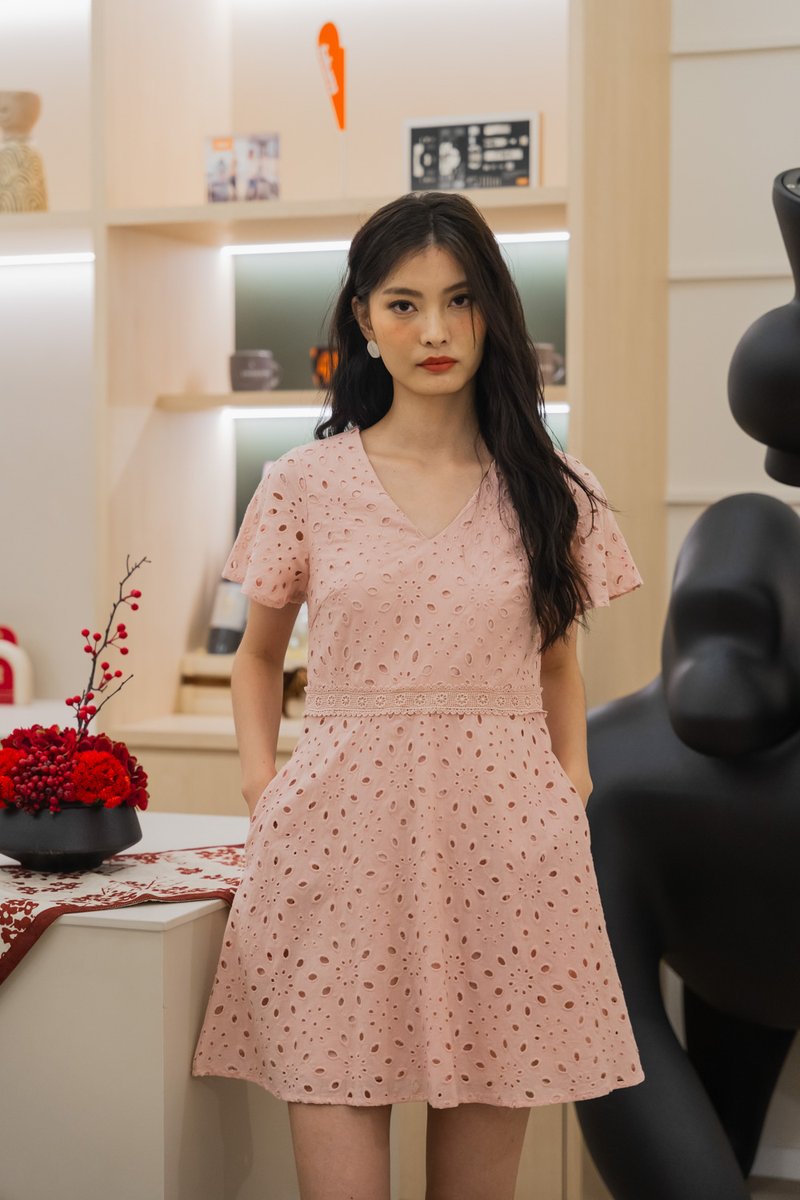 Eviane Crochet Eyelet Dress In Pink (XS)