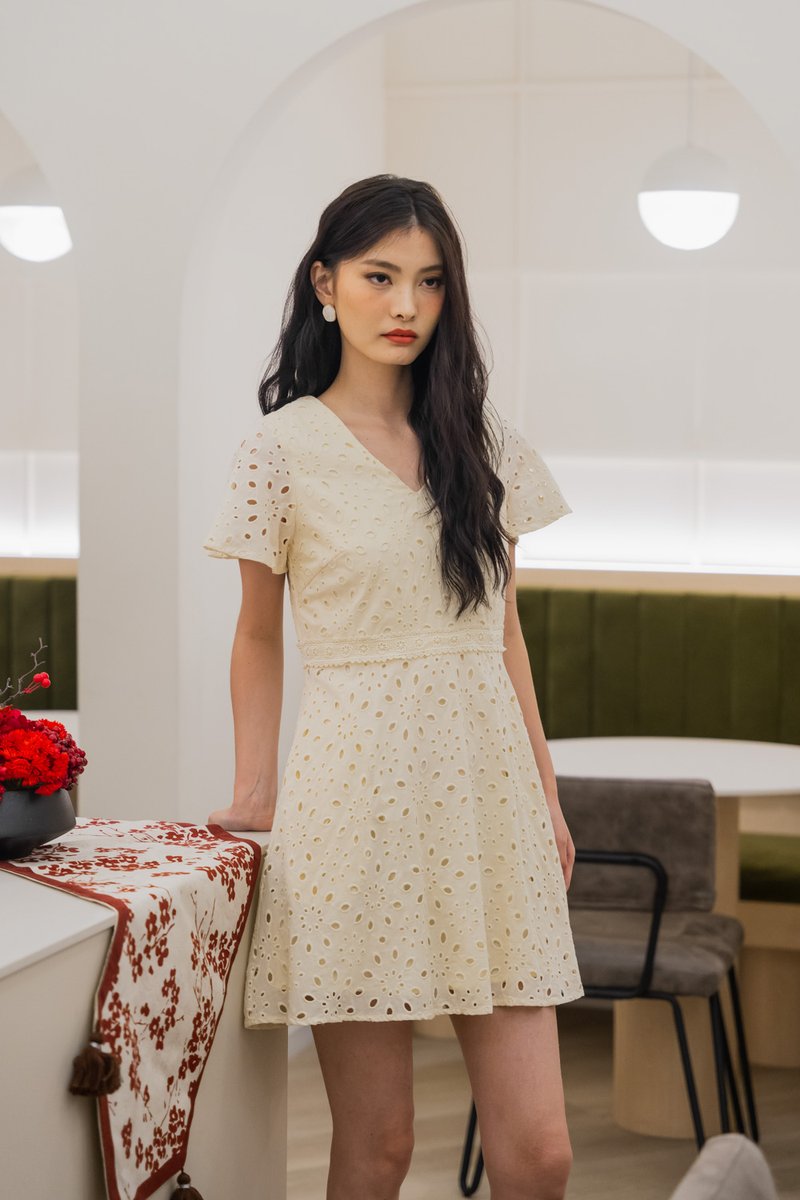 Eviane Crochet Eyelet Dress In Cream (XS)