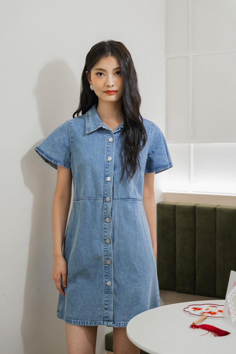 Brooke Denim Button Shirt Dress (XS)