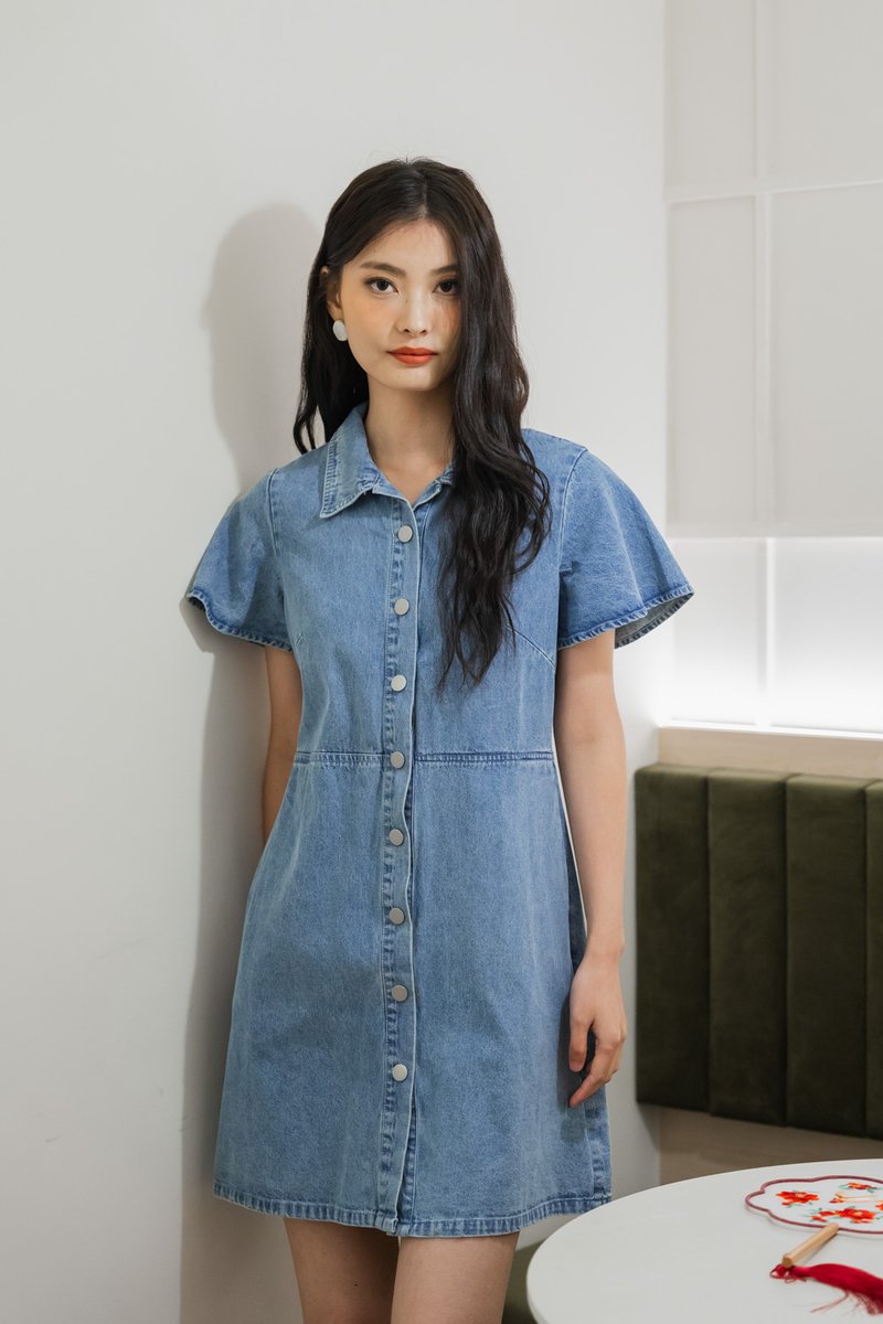 Brooke Denim Button Shirt Dress (XS)