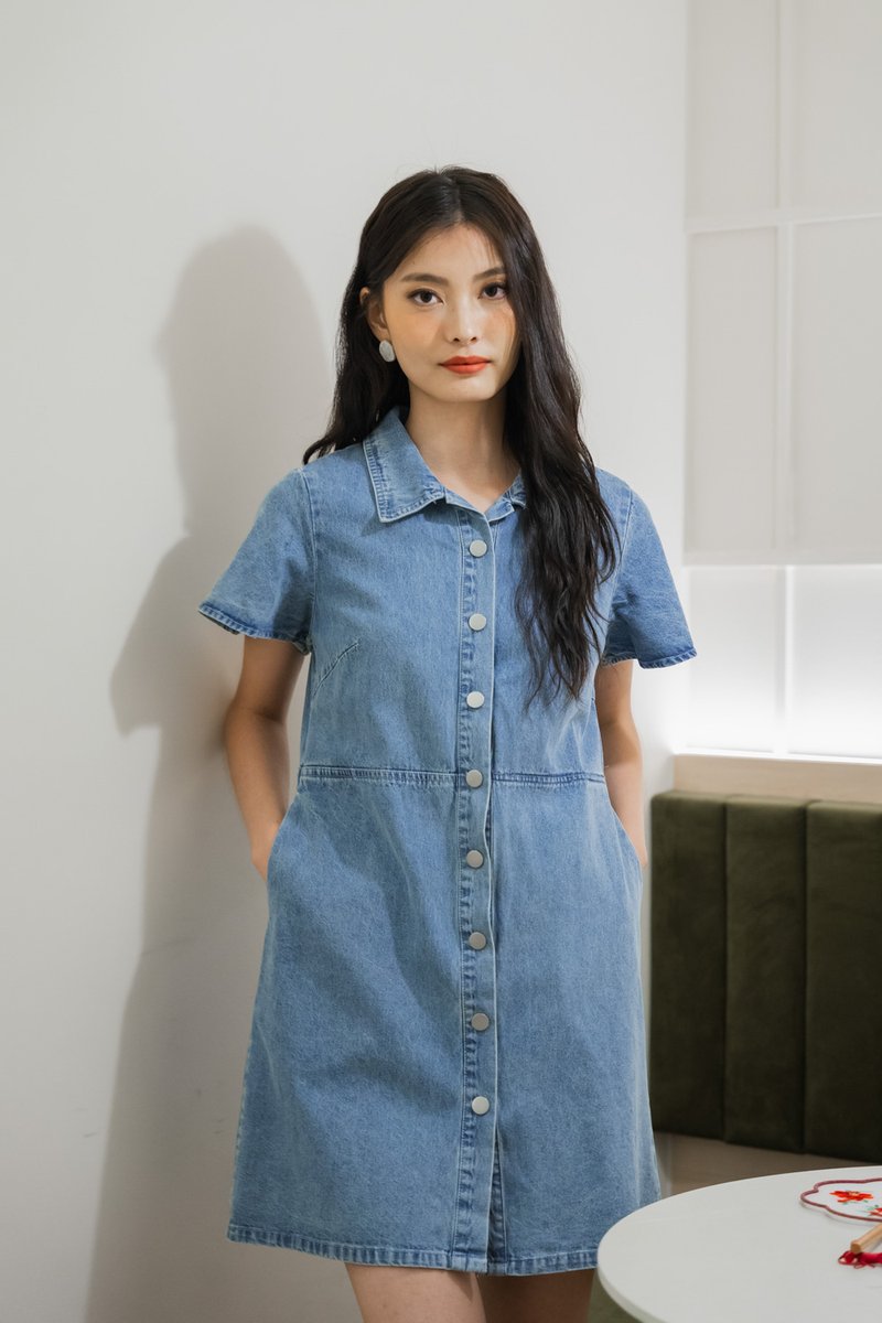Brooke Denim Button Shirt Dress (XS)