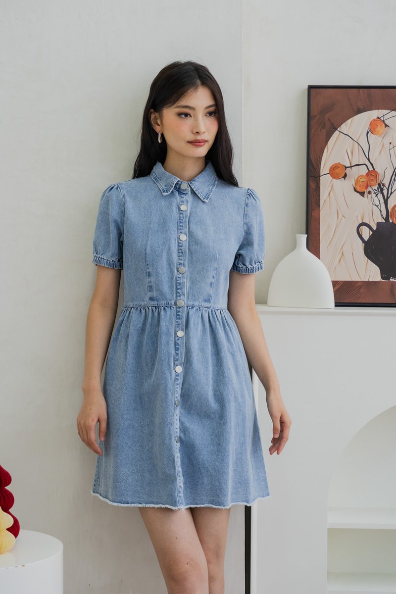 Braveheart Denim Button Shirt Dress (XS)