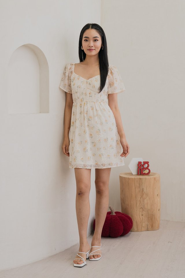 Emelda Embroidery Ruched Dress In Cream