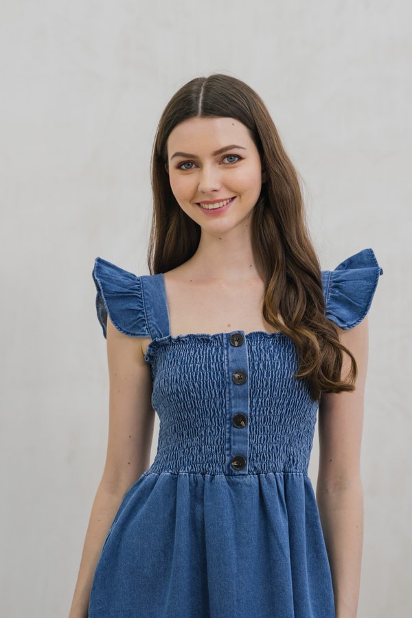 Delta Smocked Denim Dress (XL)