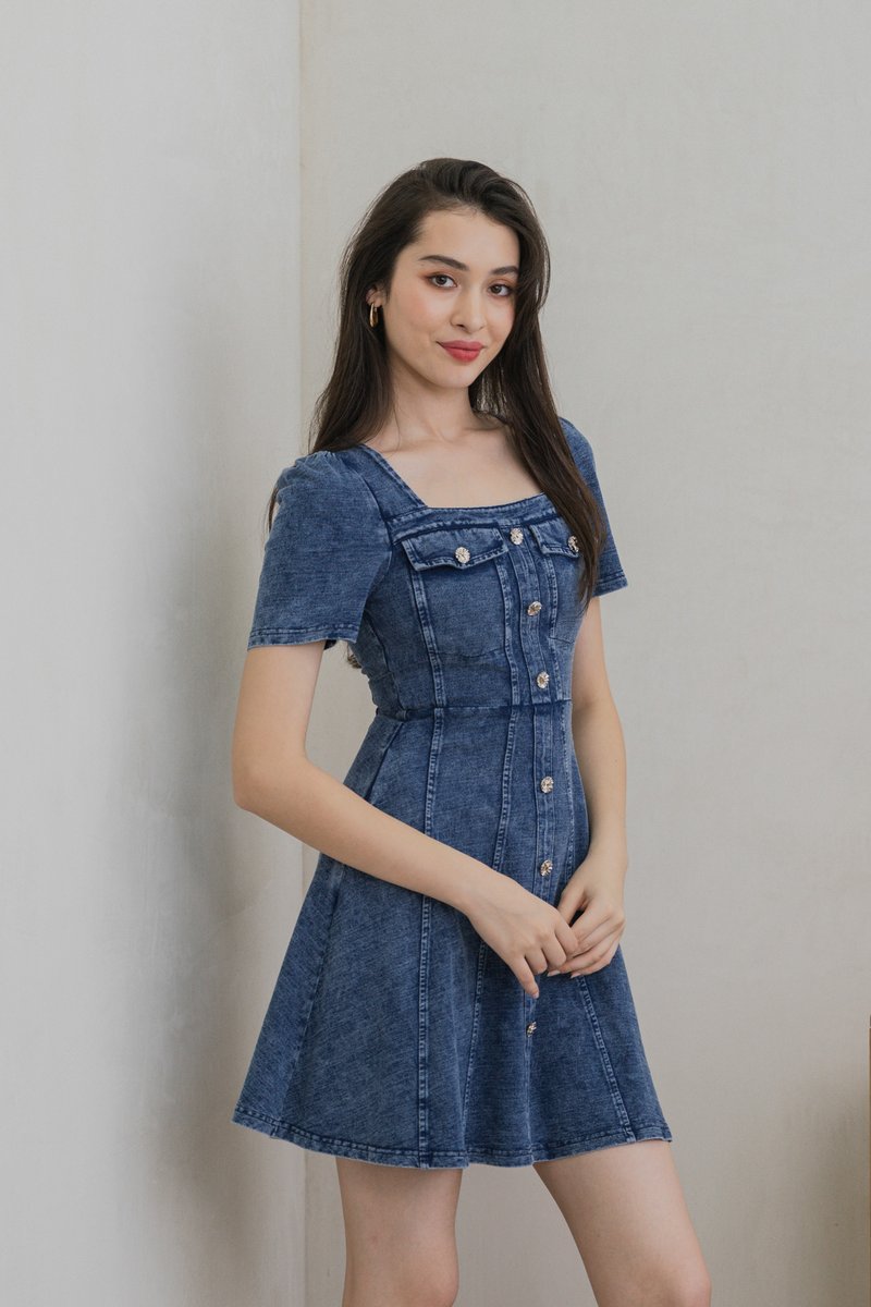 Beatrix Denim Panelled Dress (XS)