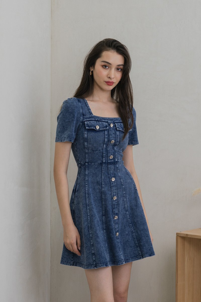 Beatrix Denim Panelled Dress (XS)