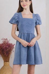Dixie Denim Puff Sleeve Dress