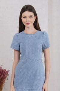 Dewy Denim Dropwaist Dress (XS)