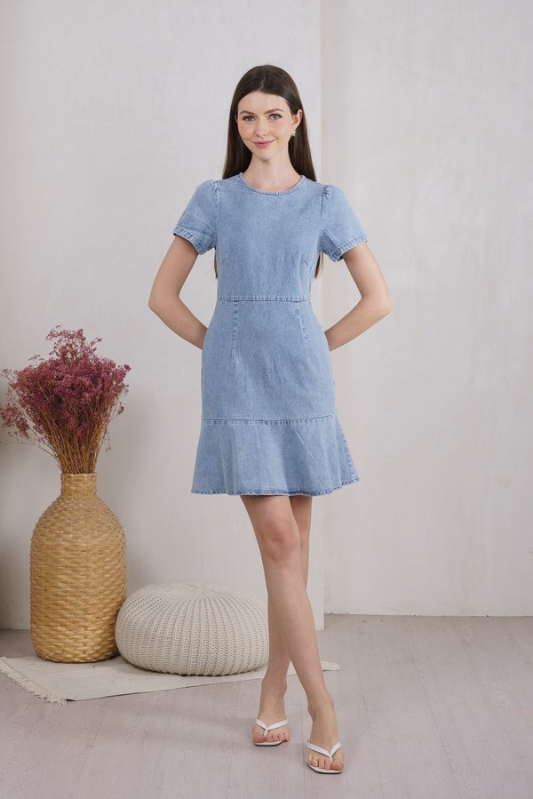 Dewy Denim Dropwaist Dress (XS)