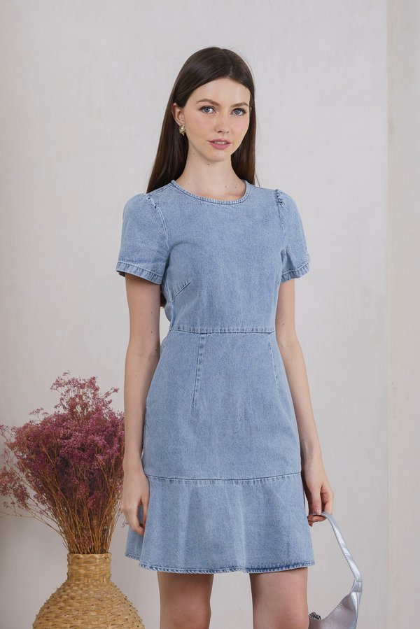 Dewy Denim Dropwaist Dress (XS)