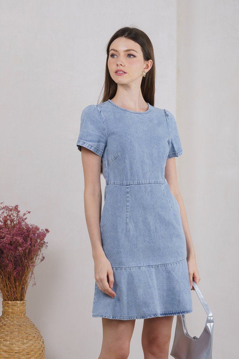 Dewy Denim Dropwaist Dress (XS)