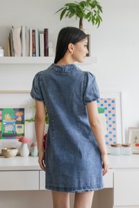 Dovie Denim Shirt Dress