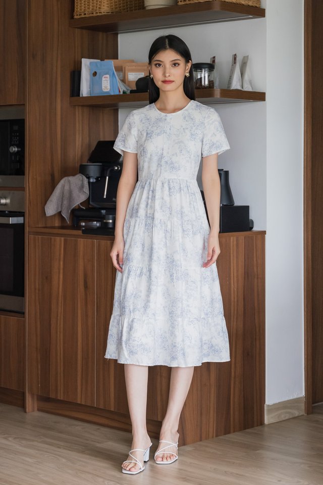 Beam Toile Buttons Midi Dress