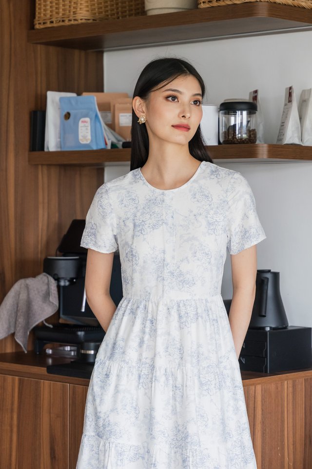 Beam Toile Buttons Midi Dress