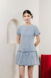Cailin Denim Dropwaist Dress