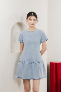 Cailin Denim Dropwaist Dress