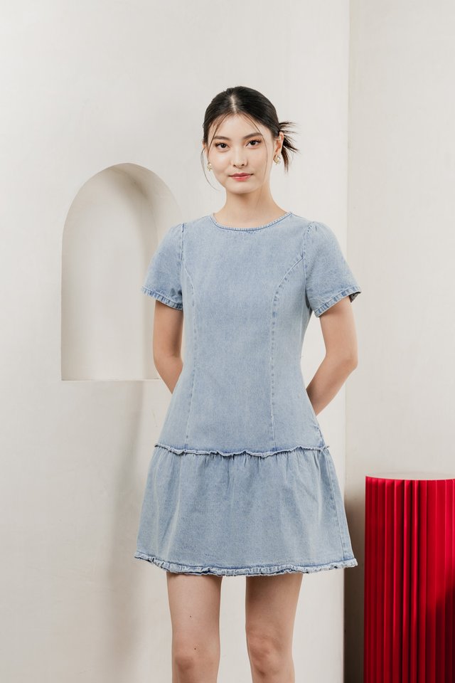 Cailin Denim Dropwaist Dress