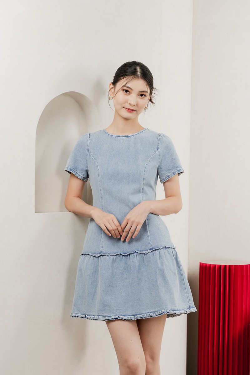 Cailin Denim Dropwaist Dress