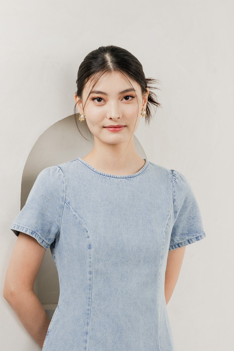 Cailin Denim Dropwaist Dress