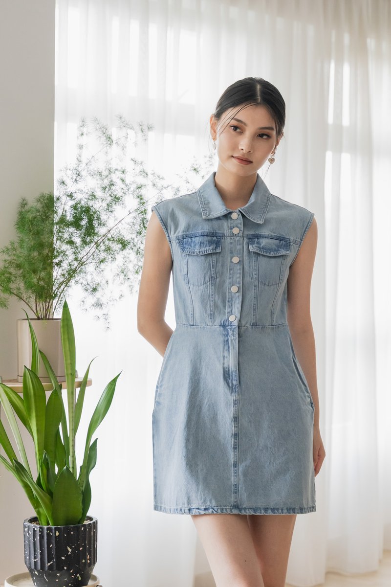 Theodora Denim Collar Button Dress