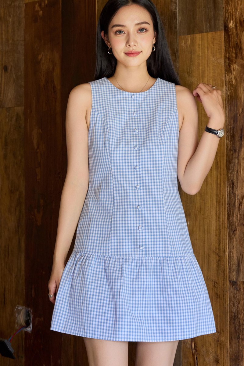 Cosette Gingham Button Dropwaist Dress
