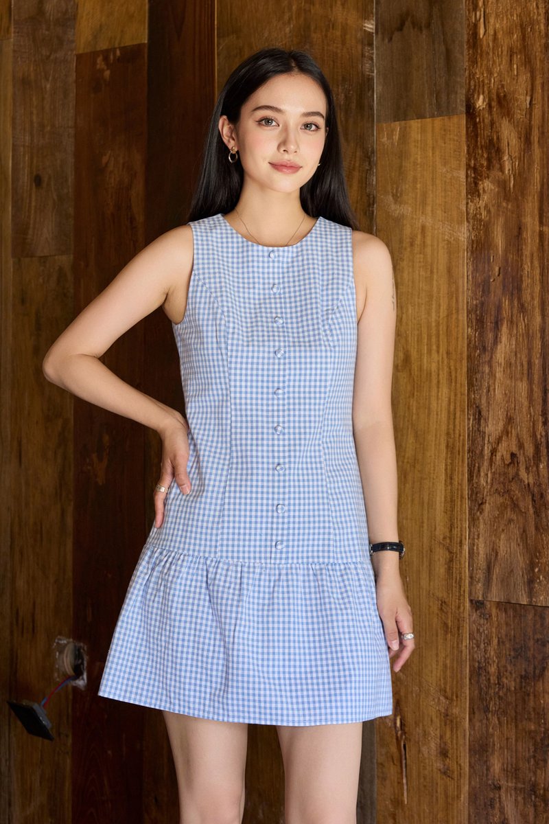 Cosette Gingham Button Dropwaist Dress