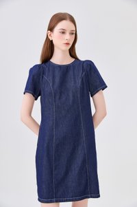Nayeli Denim Panelled Dress