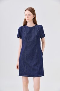 Nayeli Denim Panelled Dress