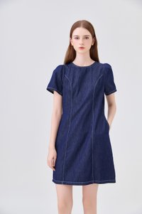 Nayeli Denim Panelled Dress