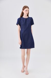 Nayeli Denim Panelled Dress