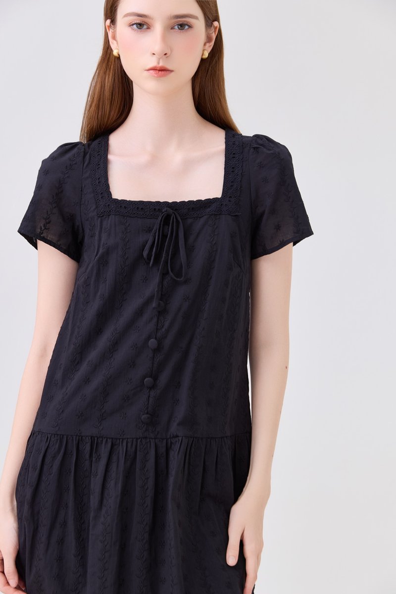 Lucienne Embroidery Dropwaist Dress