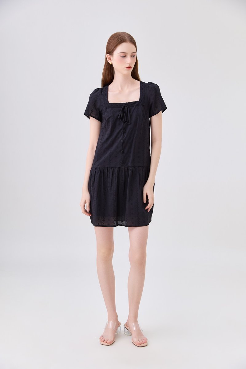 Lucienne Embroidery Dropwaist Dress