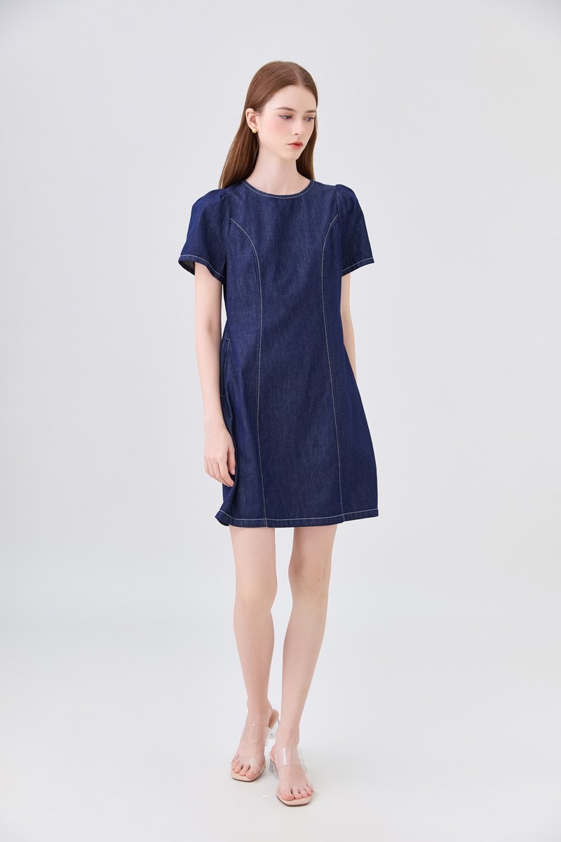 Nayeli Denim Panelled Dress