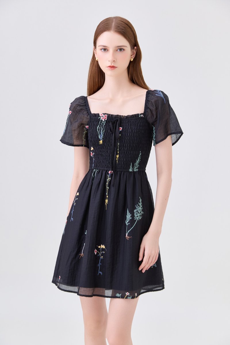 Fiora Embroidered Smocked Dress In Black