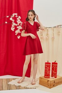 Abree Lace Sleeved Skater Dress in Red (XS)