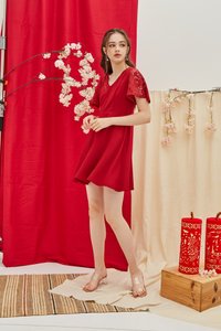 Abree Lace Sleeved Skater Dress in Red (XS)