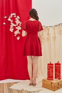 Abree Lace Sleeved Skater Dress in Red (XS)