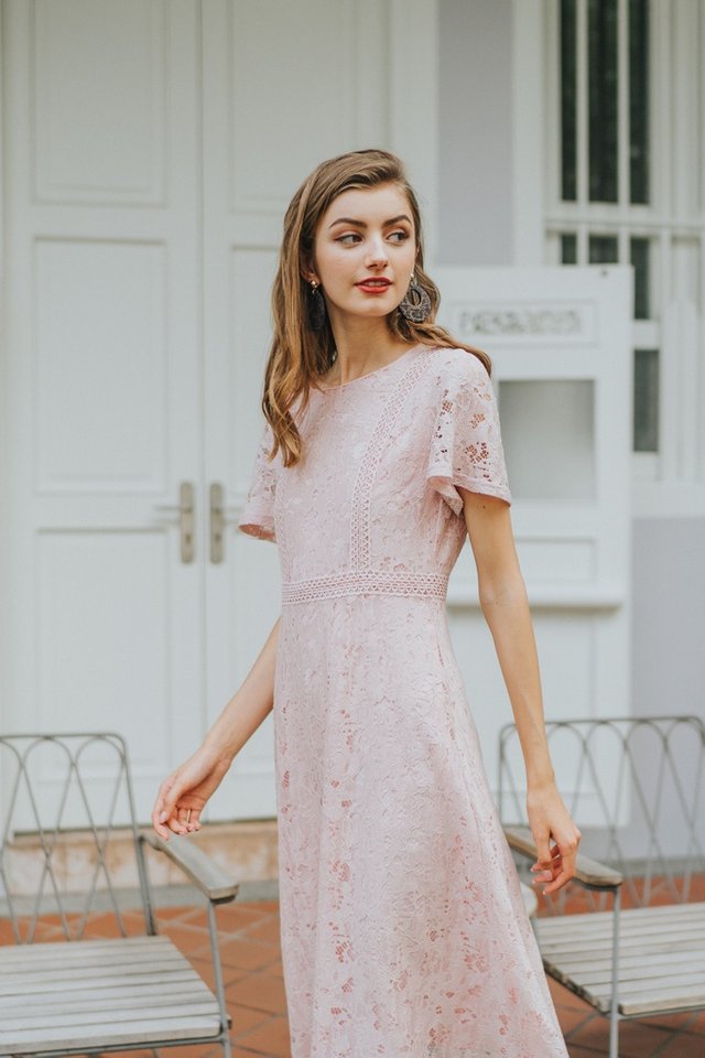 Brenda Premium Lace Sleeved Midi Dress in Pink (XS)