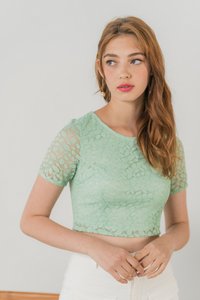 Erica Leafy Lace Crop Top in Sage
